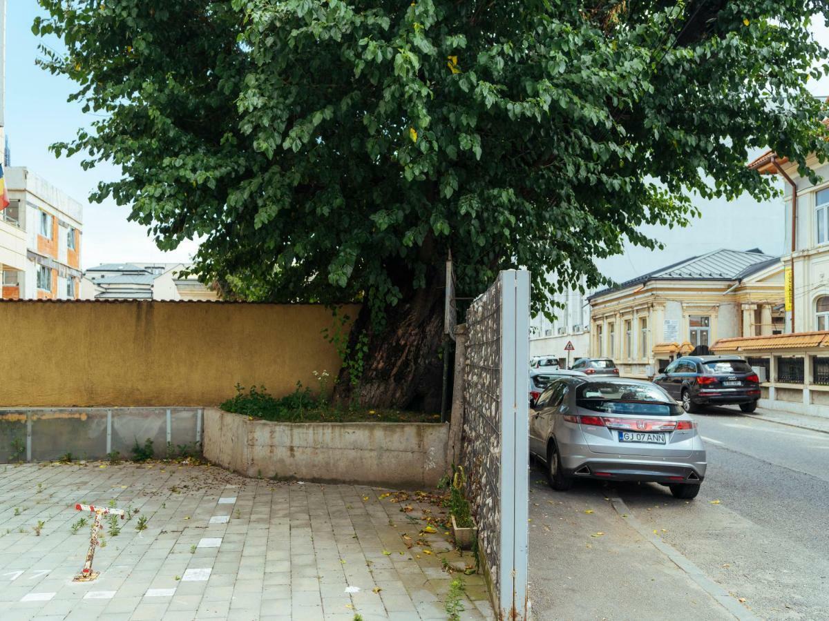 Comfy Matei Basarab Bucharest