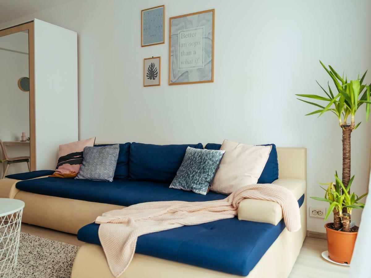 Comfy Matei Basarab 布加勒斯特