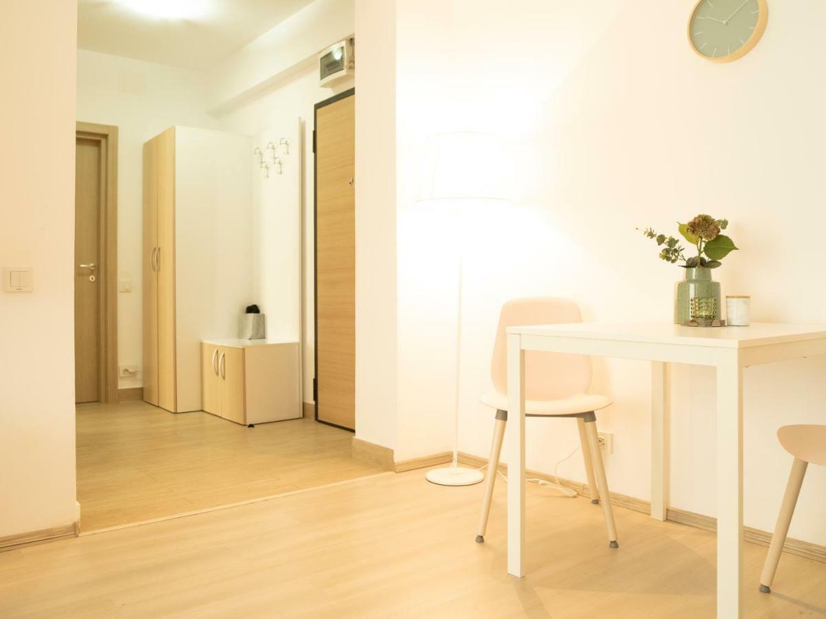Apartment Comfy Matei Basarab *