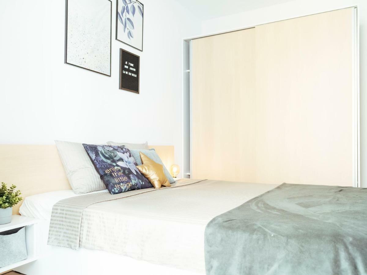 Comfy Matei Basarab 公寓 *